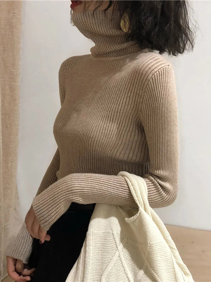 Turtleneck Sweater Womens Autumn Winter Tops