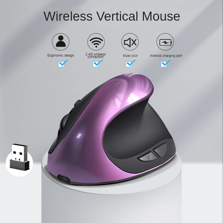 BTS-908 Hot Selling Rechargeable Vertical Mice Ergonomic Wireless Mouse