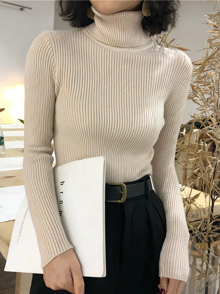 Turtleneck Sweater Womens Autumn Winter Tops