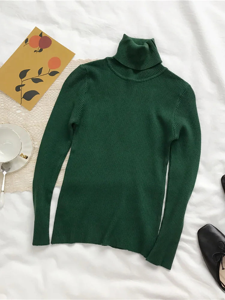 Turtleneck Sweater Womens Autumn Winter Tops