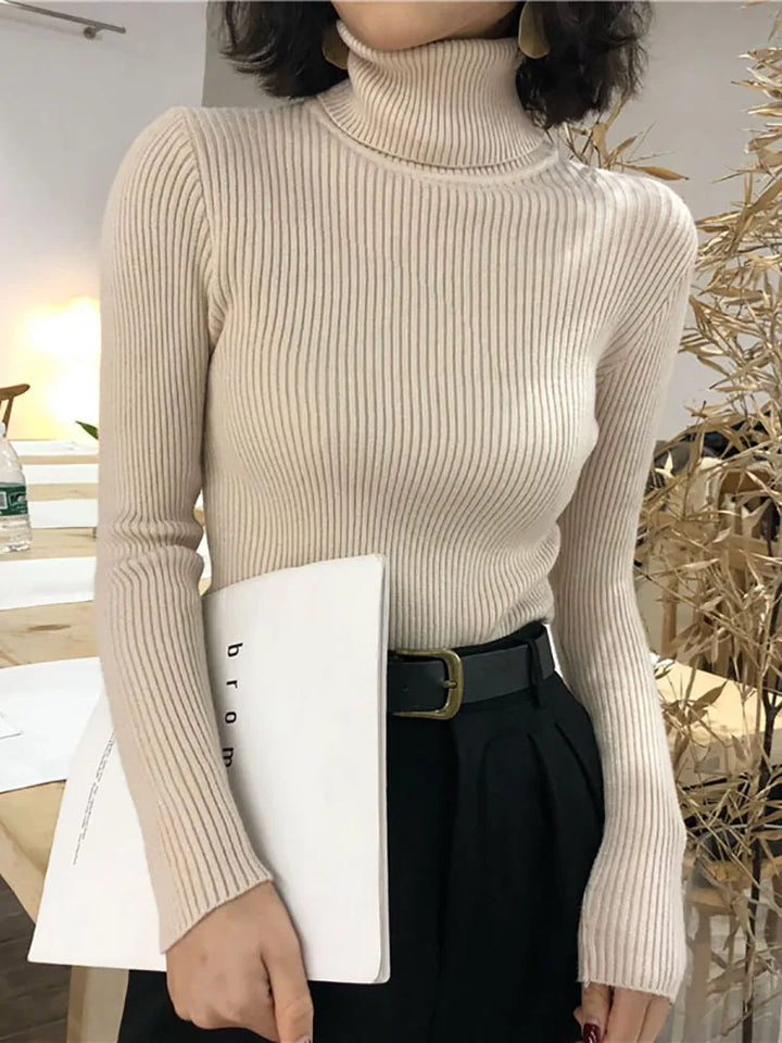 Turtleneck Sweater Womens Autumn Winter Tops