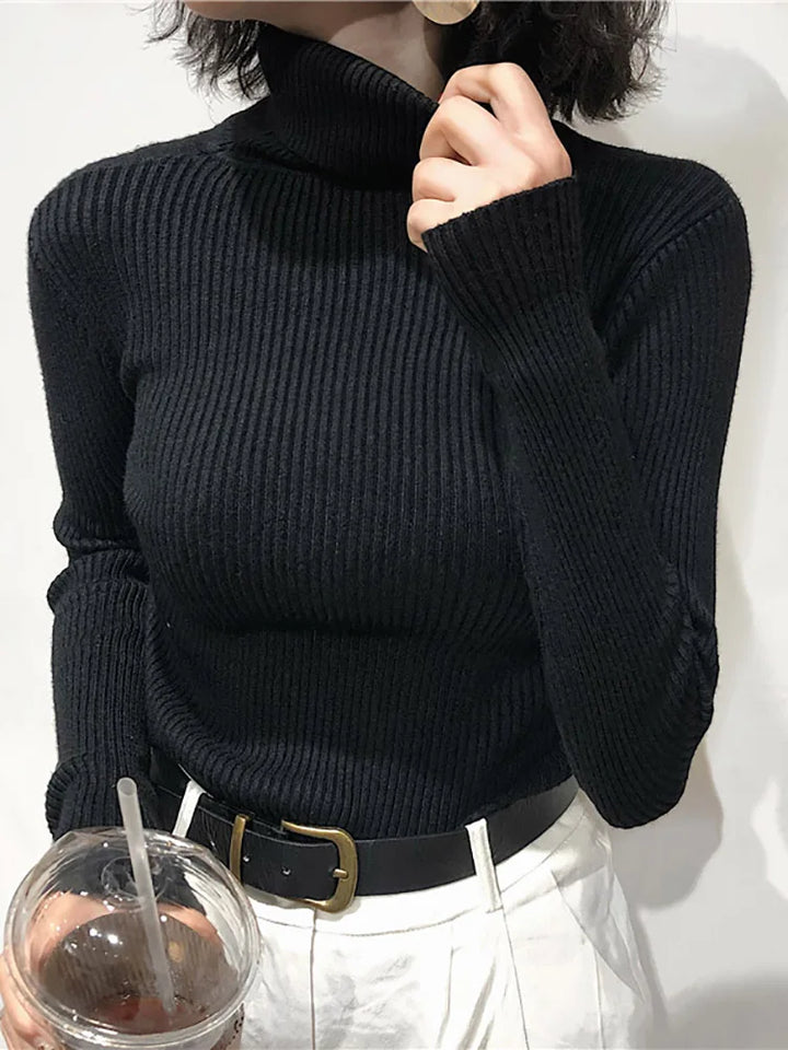 Turtleneck Sweater Womens Autumn Winter Tops