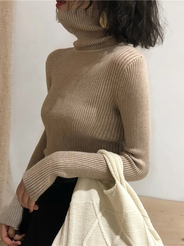 Turtleneck Sweater Womens Autumn Winter Tops