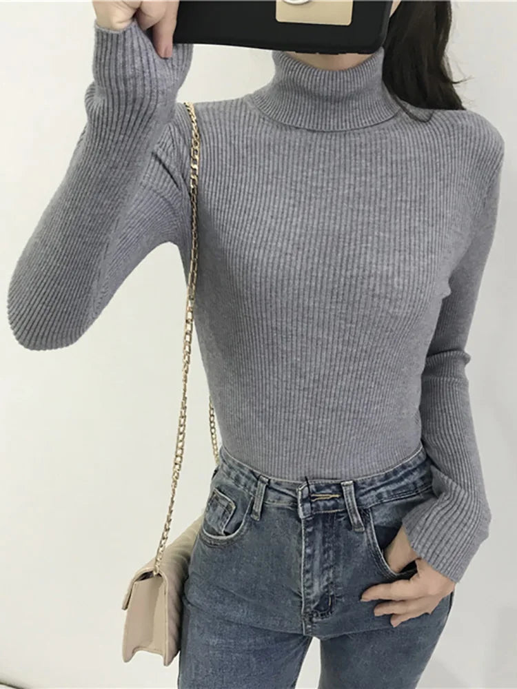 Turtleneck Sweater Womens Autumn Winter Tops