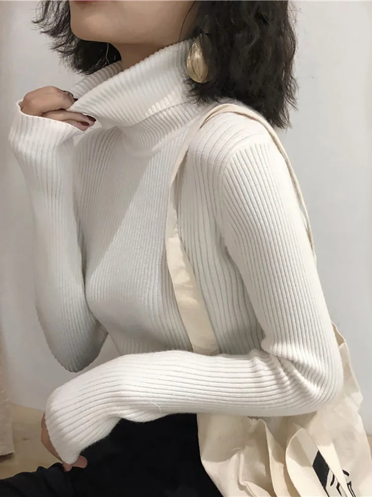 Turtleneck Sweater Womens Autumn Winter Tops