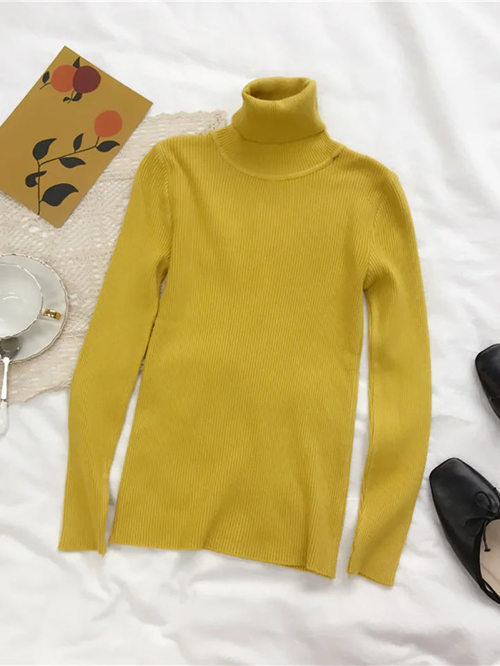 Turtleneck Sweater Womens Autumn Winter Tops