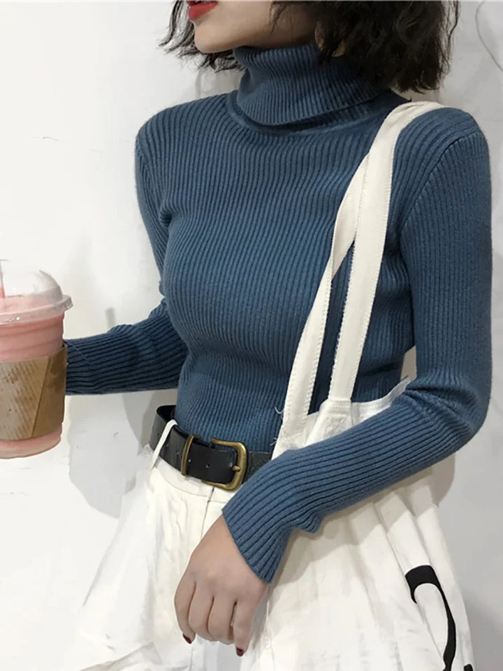 Turtleneck Sweater Womens Autumn Winter Tops