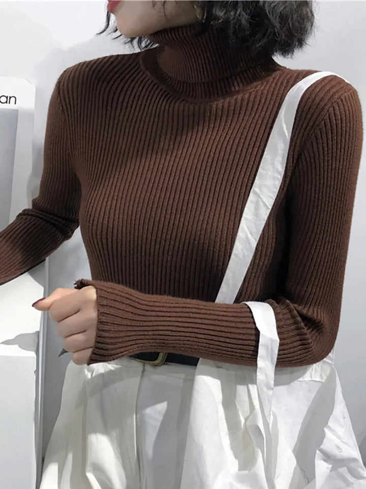 Turtleneck Sweater Womens Autumn Winter Tops