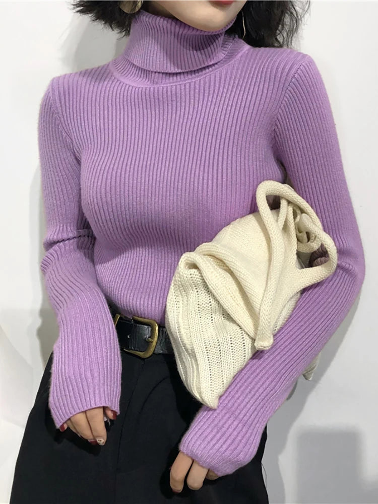 Turtleneck Sweater Womens Autumn Winter Tops